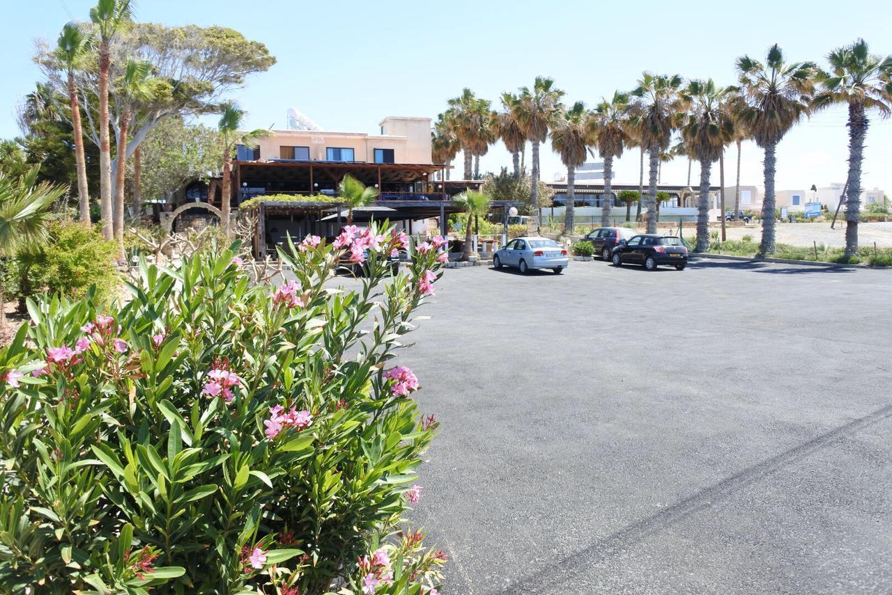 Kissonerga beach apartment Paphos Exteriör bild